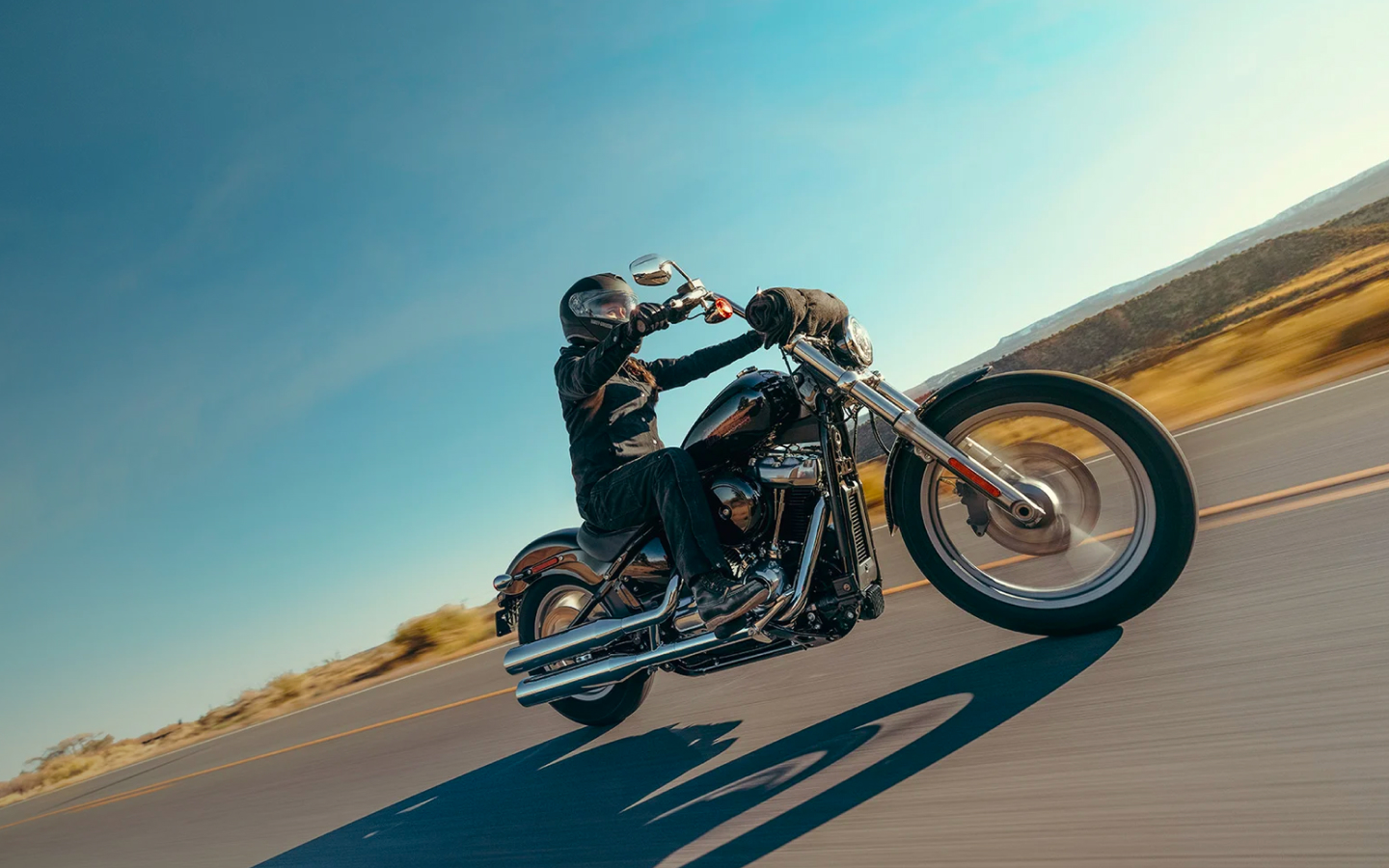 Harley Davidson Softail™ Standard banner